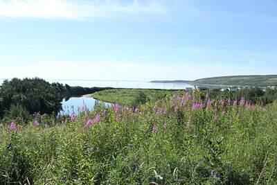 WH was buried on the left bank of the brook, near the sand shoal.