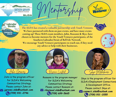 SLDA & Youth Ventures- Mentorship SLDA & Youth Ventures- Mentorship