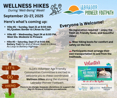 Wellness Hikes poster